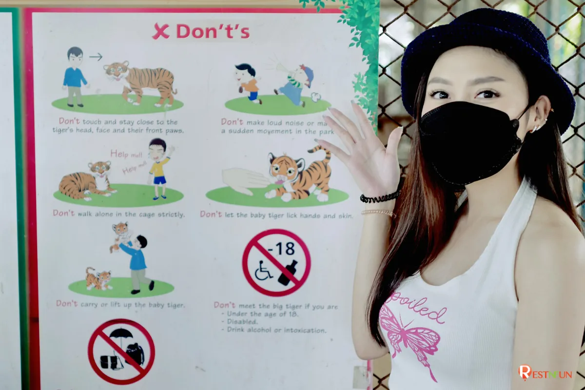 ข้อแนะนำในการเที่ยวชมเสือที่ Tiger Park Pattaya